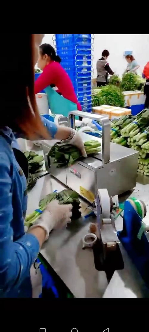 智能設(shè)備賦能工廠，銷(xiāo)量翻番的幕后故事